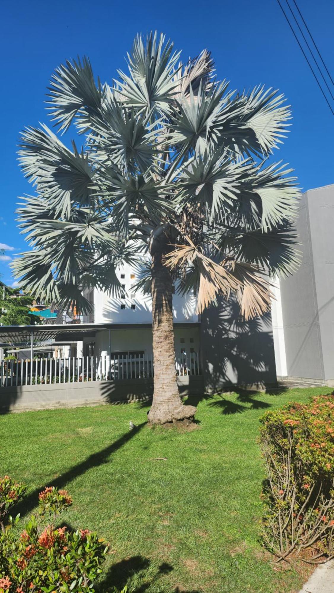 Apartasol Club Ciudadela Santa Fe - Santa Fe De Antioquia Bagian luar foto